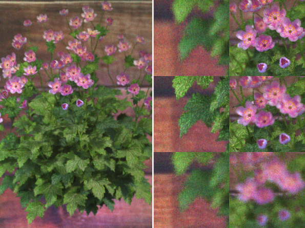Flower with defocus
